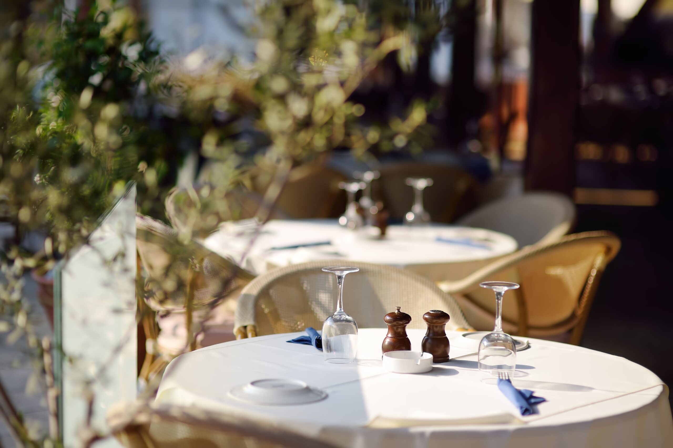 depigeonnage-restaurant-ile-de-france